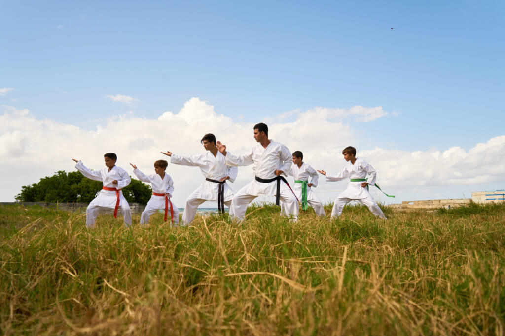 picture of people in a field doing martial arts