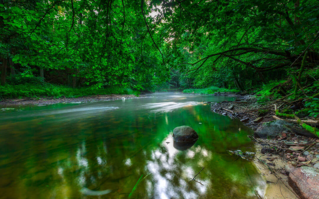 Here’s Why We Need Value Stream Management