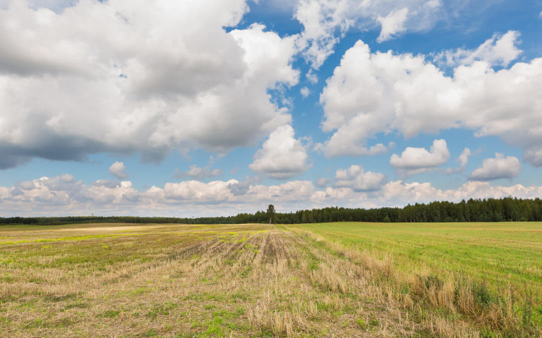 SRE Is Fueling the Journey Towards Digital Reinvention: Are you Ready To Embrace it?