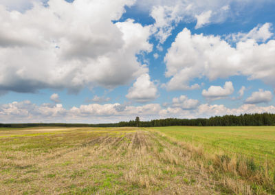SRE Is Fueling the Journey Towards Digital Reinvention: Are you Ready To Embrace it?