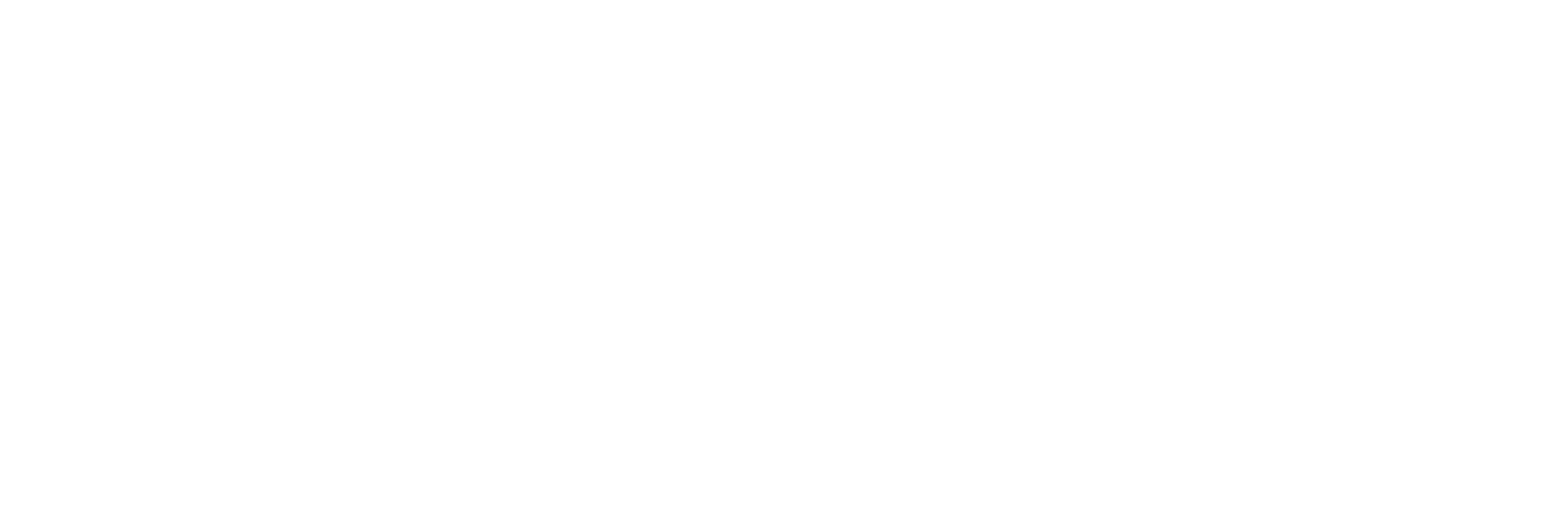 DevOps_Institute_Logo_Landscape_Stacked_White
