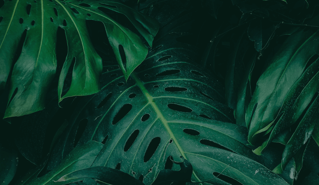 A New Way to Solve DevOps Challenges: SKILup Discussions