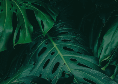 A New Way to Solve DevOps Challenges: SKILup Discussions